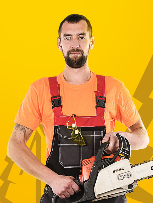 Егоров Василий